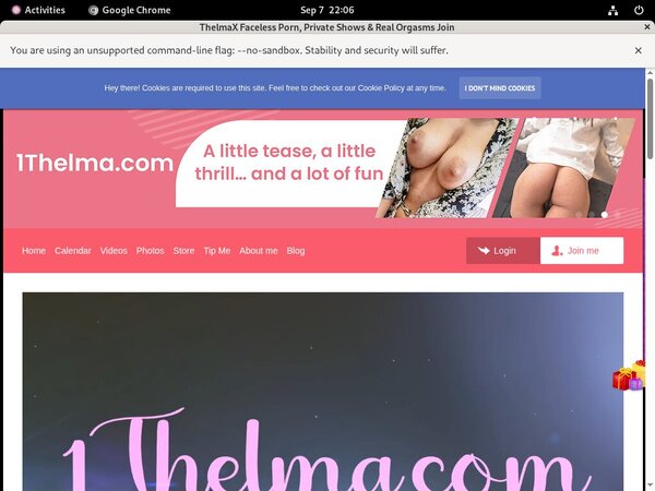 1thelma.com Worth It?