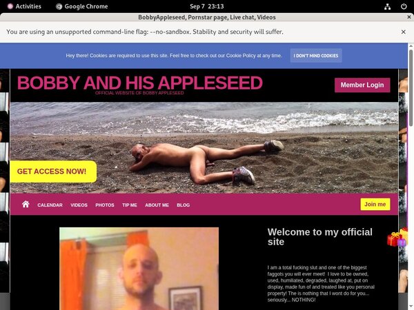 Accounts Of Bobbyappleseed.modelcentro.com