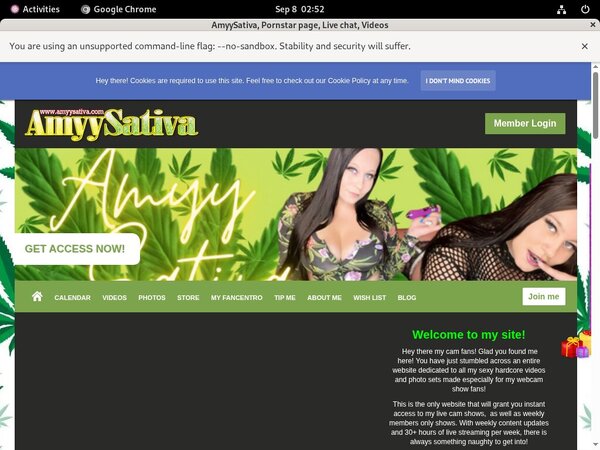 Amyysativa Review Site