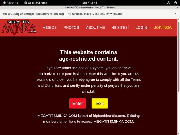 Beeg Mega Tits Minka