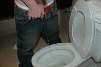 Boys Pissing Free Account Login s1