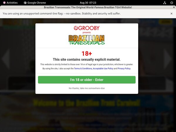 Braziliantranssexuals Join With Phone