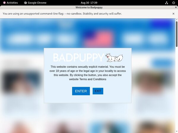 Discount For Badpuppy.com