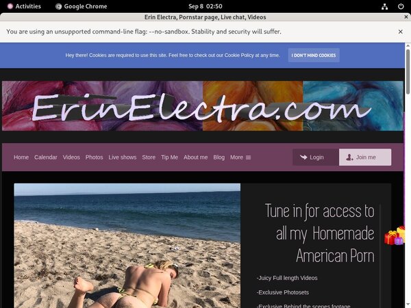 Electra Erin Passwords