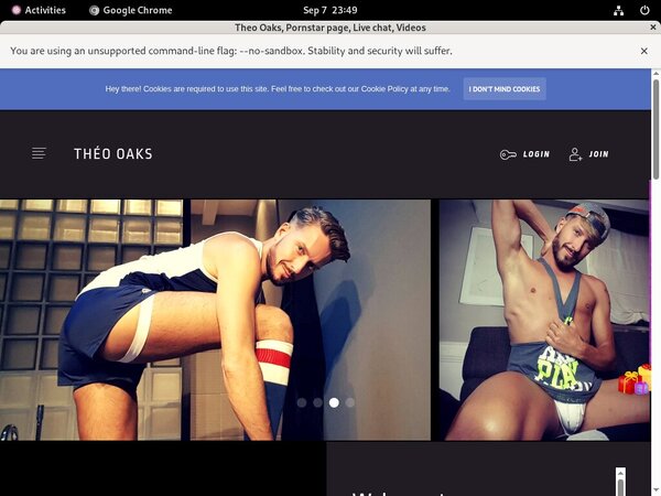 Free Access To Theooaks.modelcentro.com