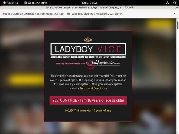 Free Account Of Ladyboyvice.com