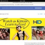 Free Americankittens Clips