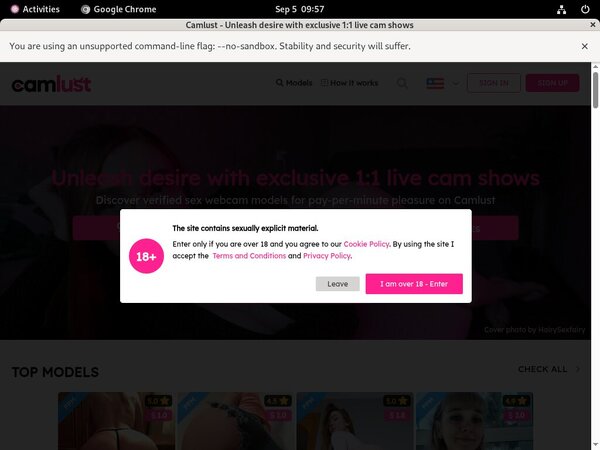 Free Camlust Premium Accounts