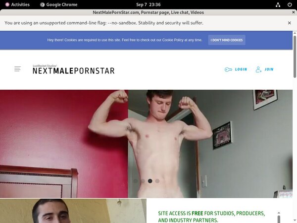 Free Nextmalepornstar.com