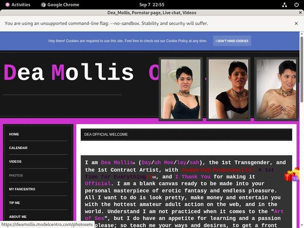 Free Working Deamollis.modelcentro.com Logins