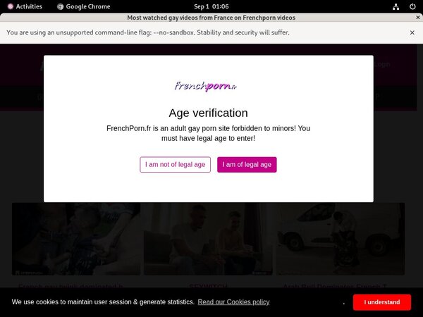 Frenchporn.fr Full Access