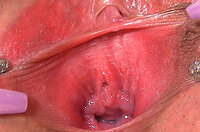 Gape My Pussy Login Password s2