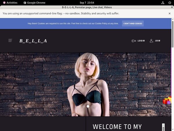How To Get Free B-e-l-l-a.modelcentro.com Accounts