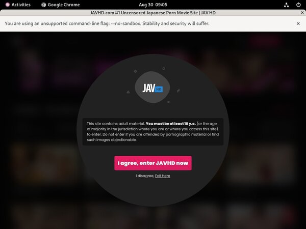 JAV HD Lower Price