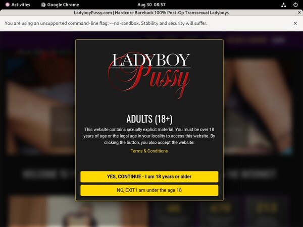 Ladyboypussy.com Store