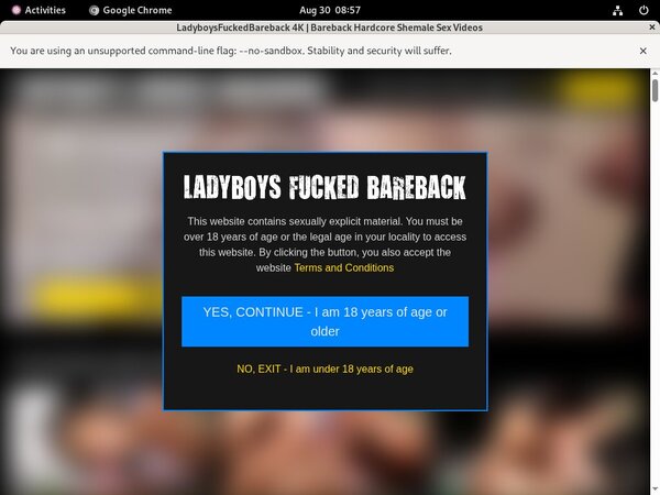 Ladyboysfuckedbareback Discount Code 50% Off