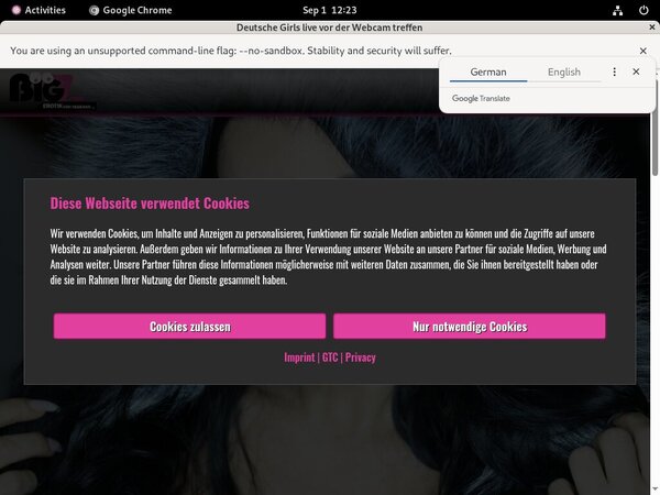 Lana Giselle Password Details