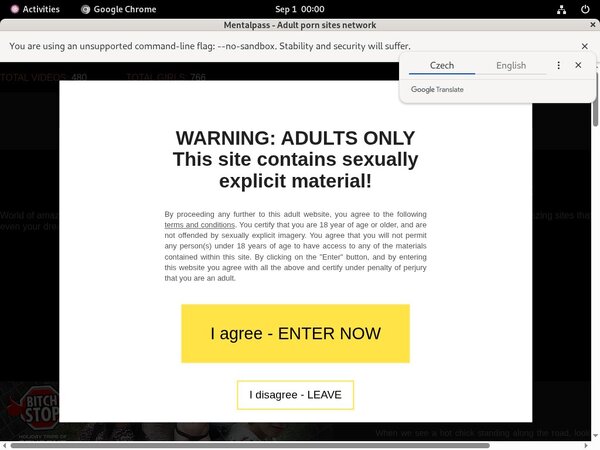 Mentalpass.com Gay Videos