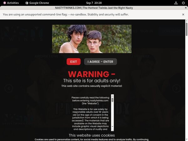 [Image: Nastytwinks-Active-Accounts.jpg]