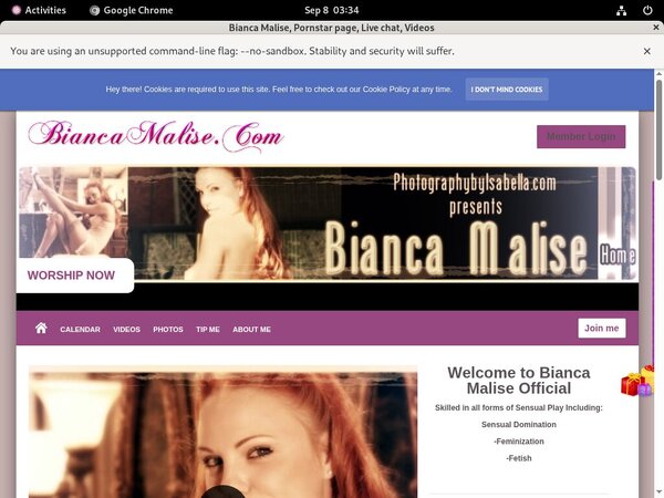 Password To Biancamalise.modelcentro.com