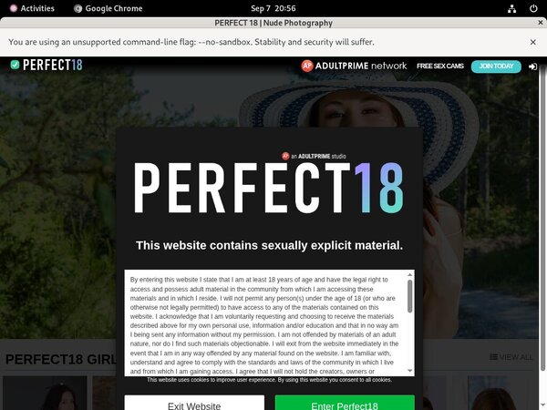 Perfect 18 Account Generator