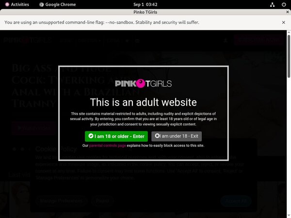PinkO TGirls Porn Video