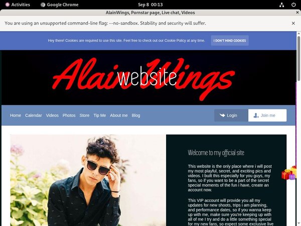 Promo Codes AlainWings Promo Codes AlainWings
