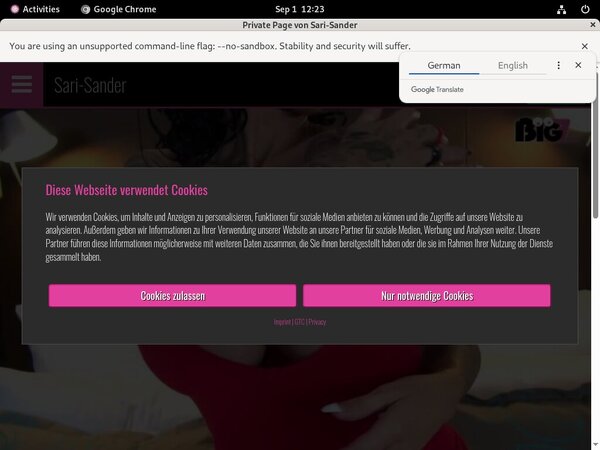 Sari Sander Promo Link