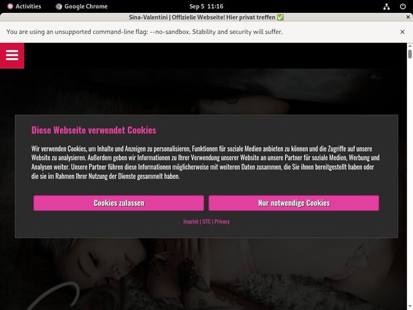 Sina Valentini Freies Konto