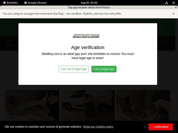 Sket Boy Account Logins