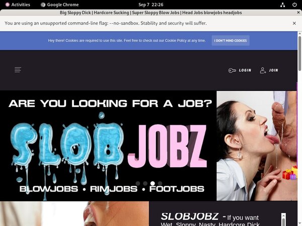 Slobjobz Webcams