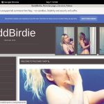 Special Baddbirdie.modelcentro.com Discount Deal