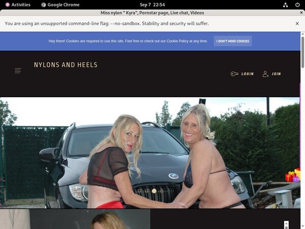 Stockingsandhighheels.com Premium Pass