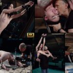 Subspaceland Trial Free