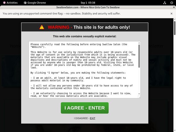 Swallowsalon Free Online