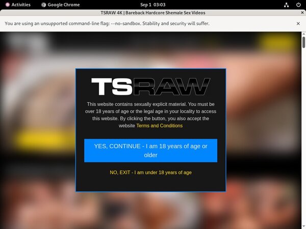 TS Raw Pay Site