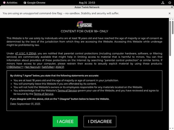 Thai Gay Boys Mobile Pass