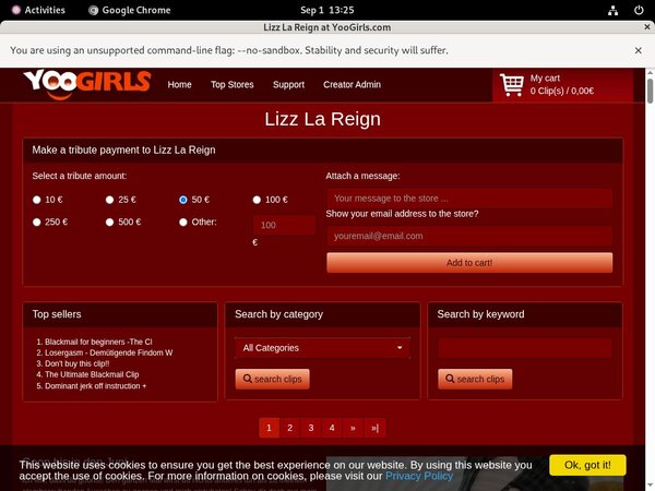 Working Yoogirls.com Account