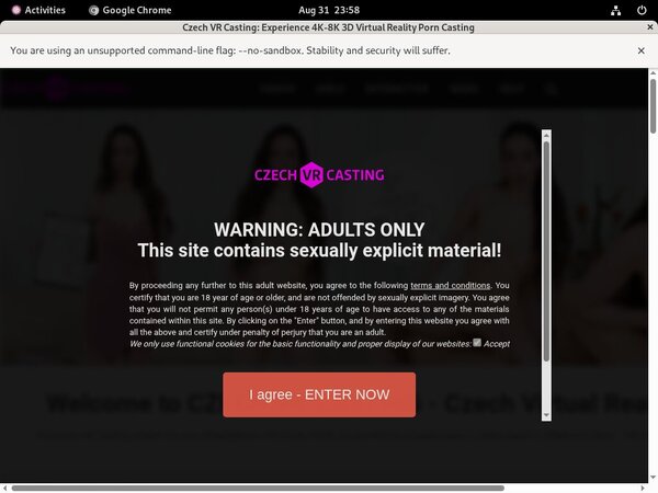 Czech VR Casting Trial Cost
