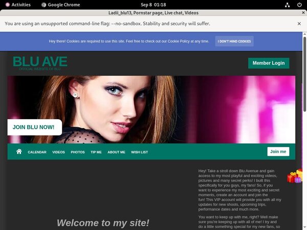 Ladii_blu13 Discount Passes