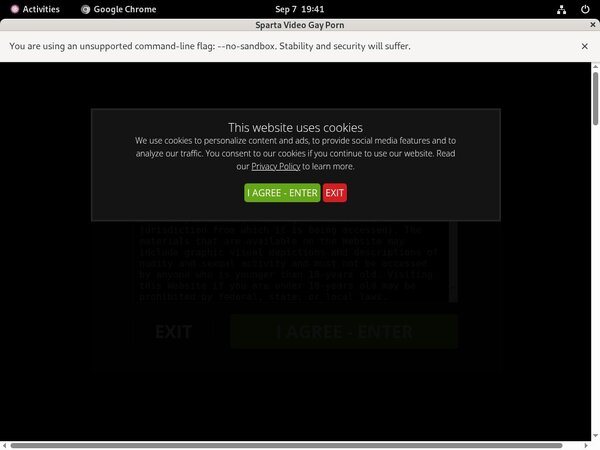 Sparta Video Webcams